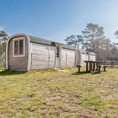 Naturcamping Lueneburger Heide - Chalets & Tiny Haeuser Soltau Esterno foto