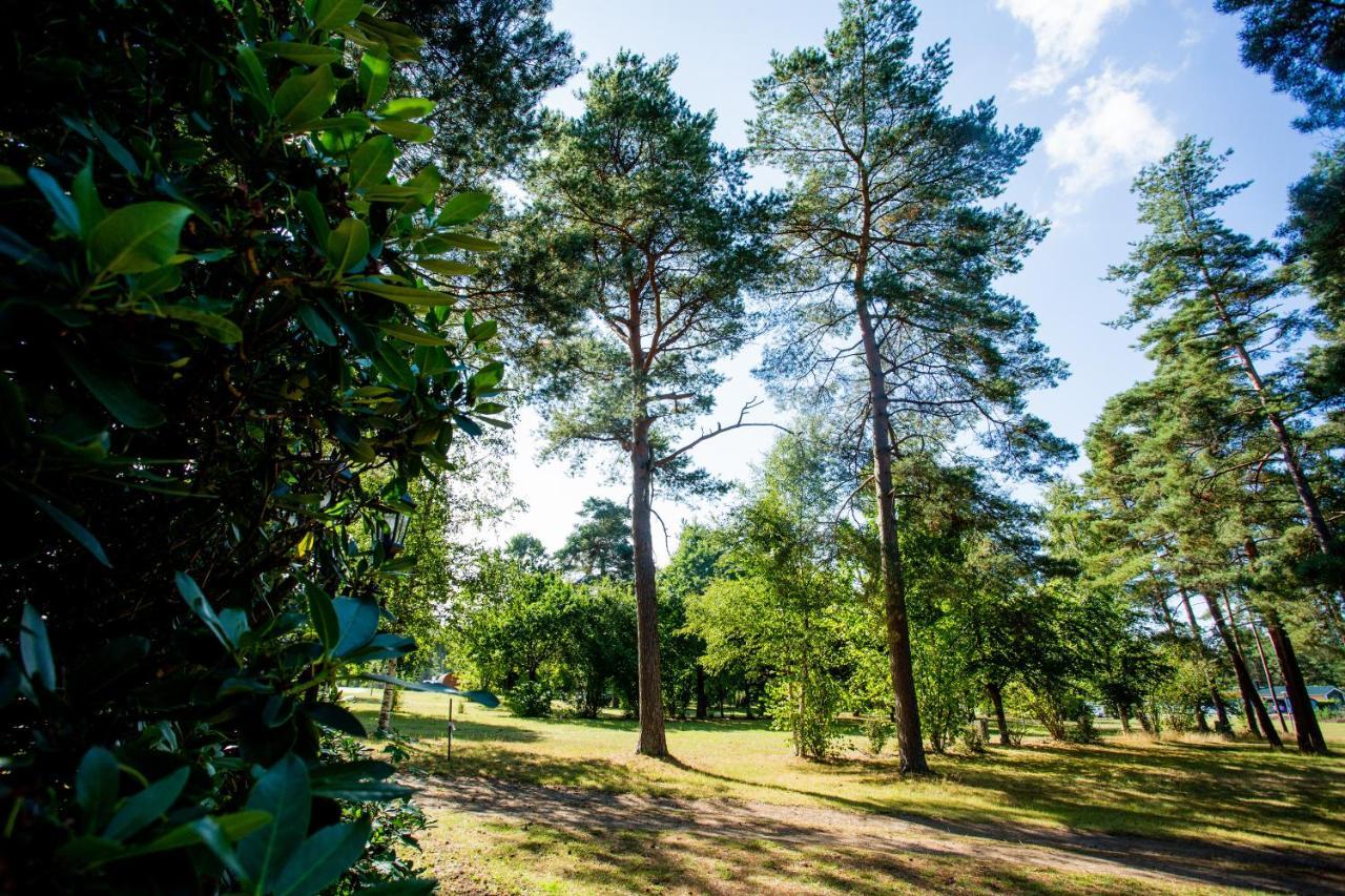 Naturcamping Lueneburger Heide - Chalets & Tiny Haeuser Soltau Esterno foto